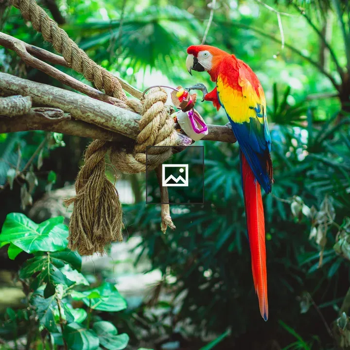 Macaw parrot on a branch