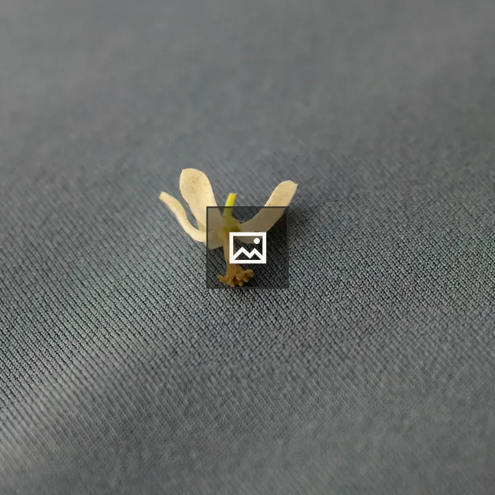 Small white flower on gray fabric