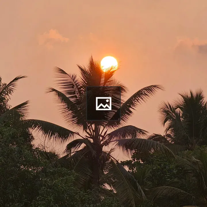 Sunset Over Coconut Leaves