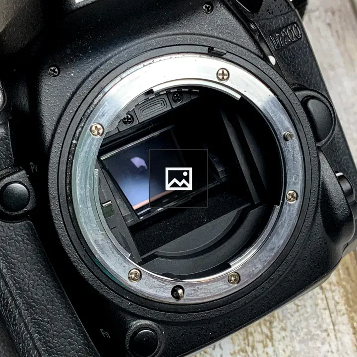 Nikon DSLR Sensor