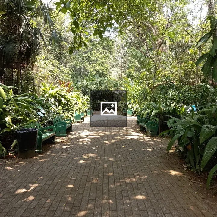 Green benches along walkway in Costa Rica Zoo