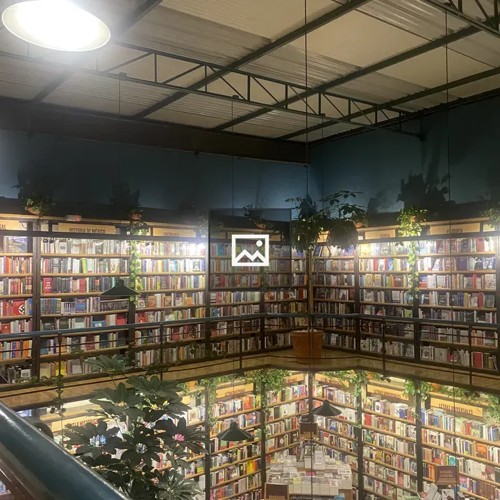 Indoor bookstore with circular shelves
