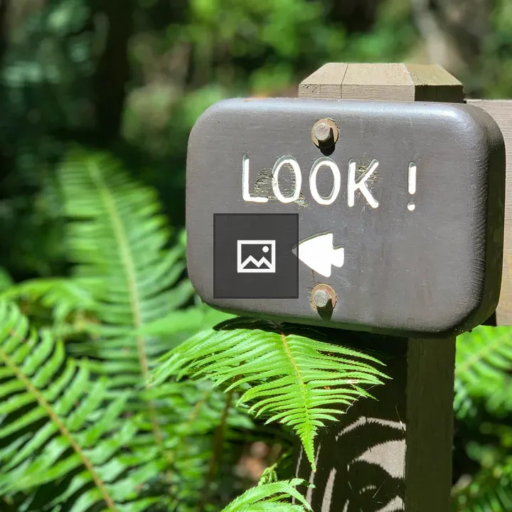Wooden Trail Sign Looking LOOK