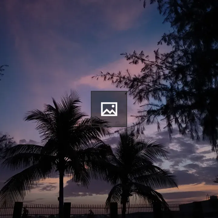 Twilight sky with silhouetted palms