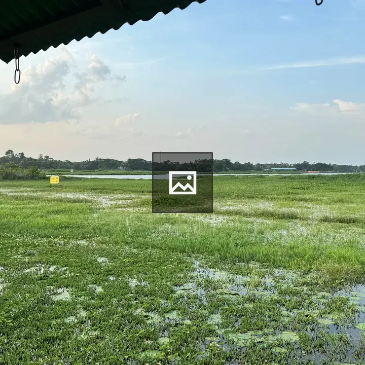 Scenic lush landscape by water
