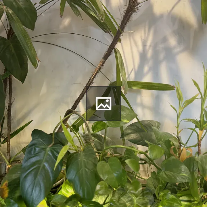 Dense green plant arrangement