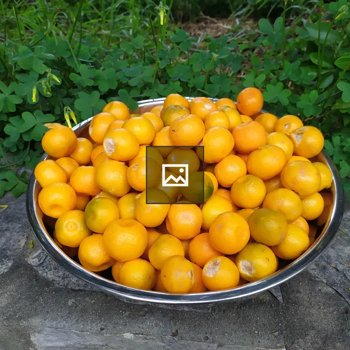 Oranges on a Table