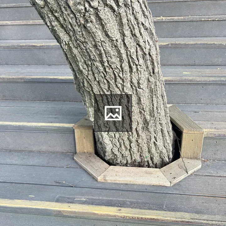 Tree Trunk Through Deck Steps