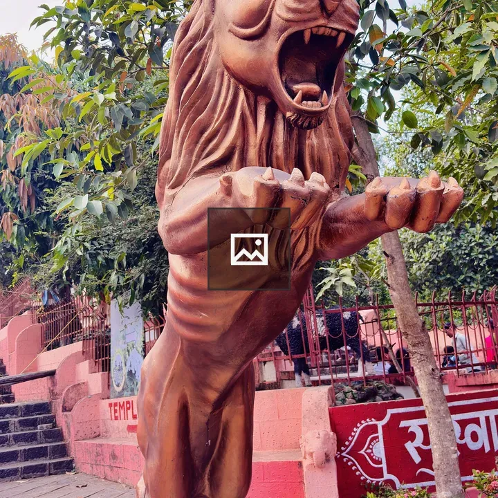 Bronze Lion Statue