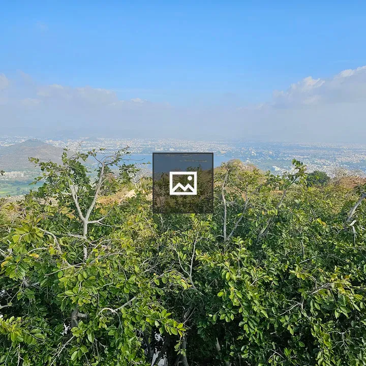 Mist over Udaipur from Monsoon Palace