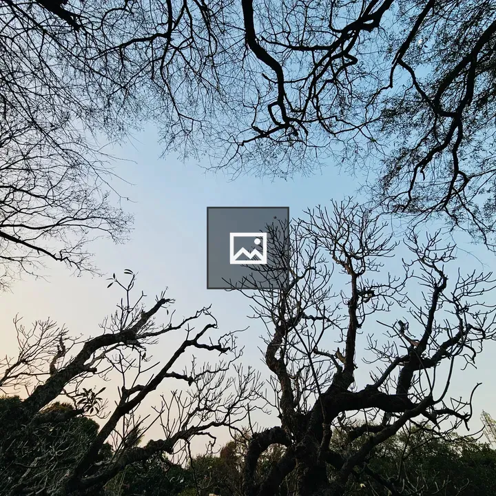 Trees after Sunset in Shivaji Nagar