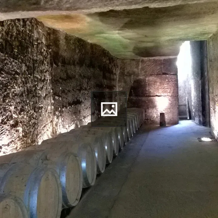 Botti di vino in cantina