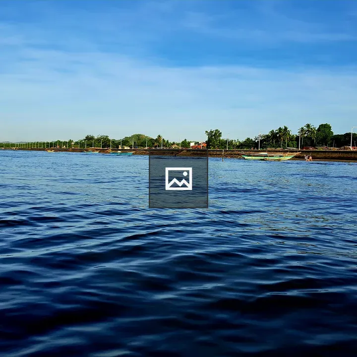Waterfront with Palm Trees