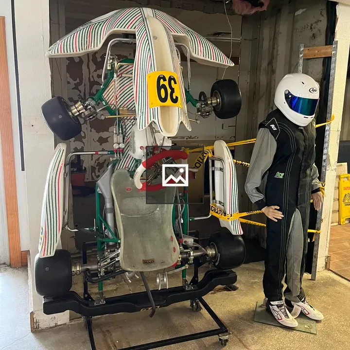 Racing kart and driver