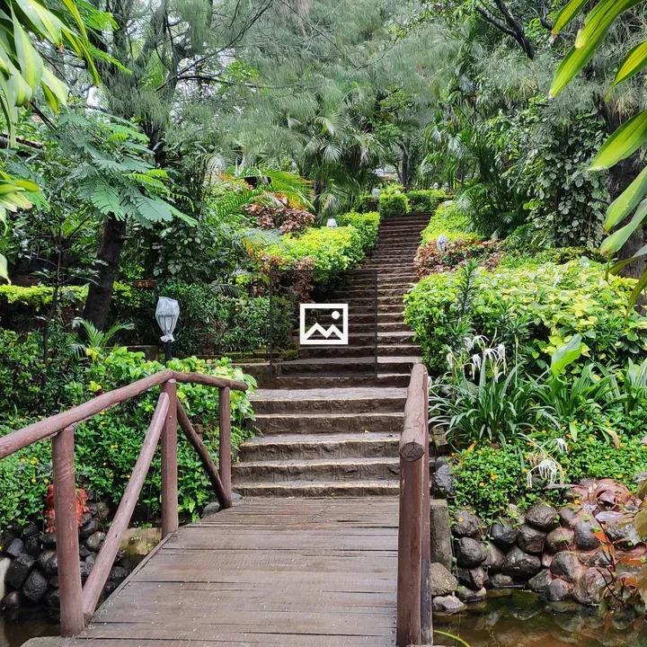 Wooden bridge in garden