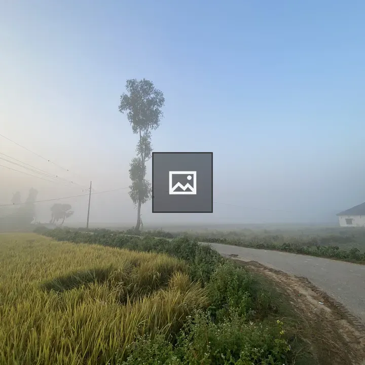 Winding road in mist with lone tree