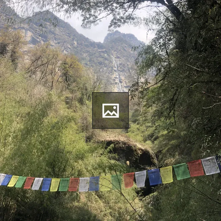 Prayer flags over green valley