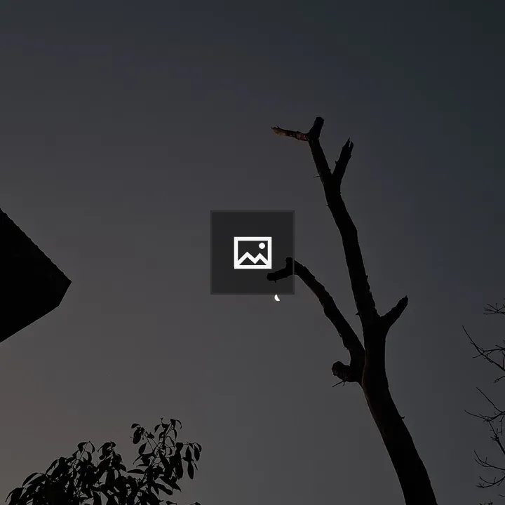 Crescent Moon with Bare Branch