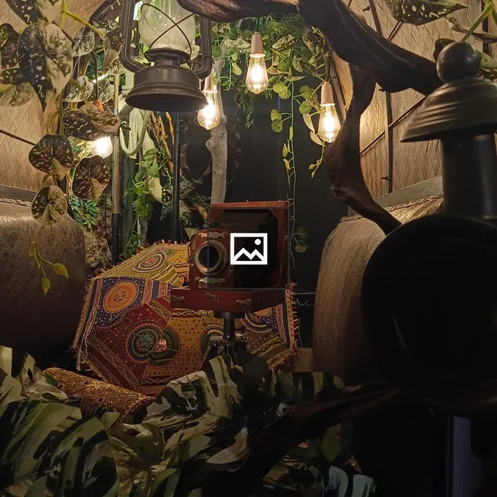 Old camera and light decorations