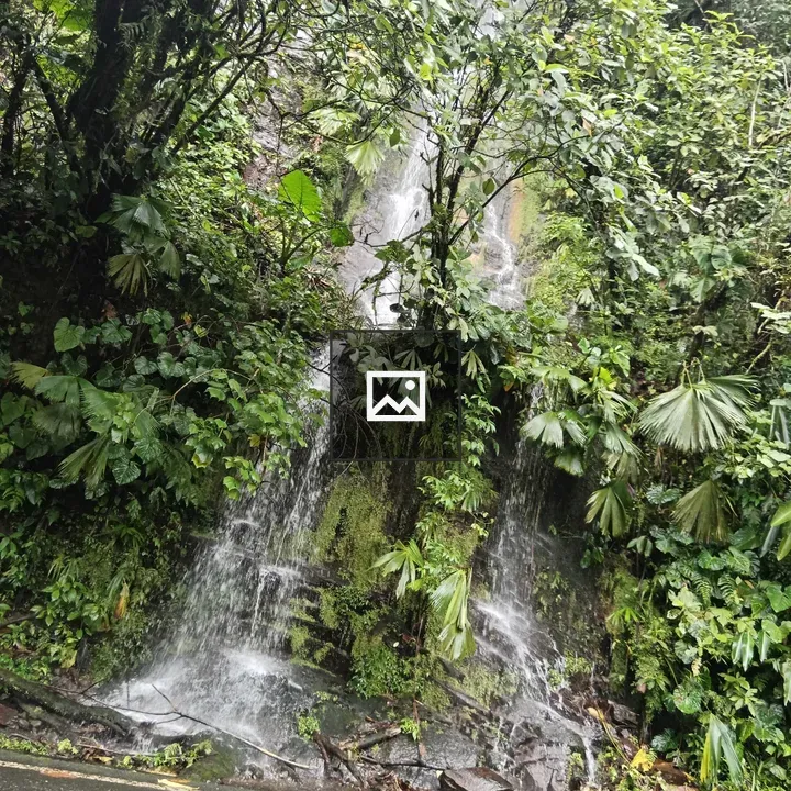 Small waterfalls in Braulio Carrillo Park