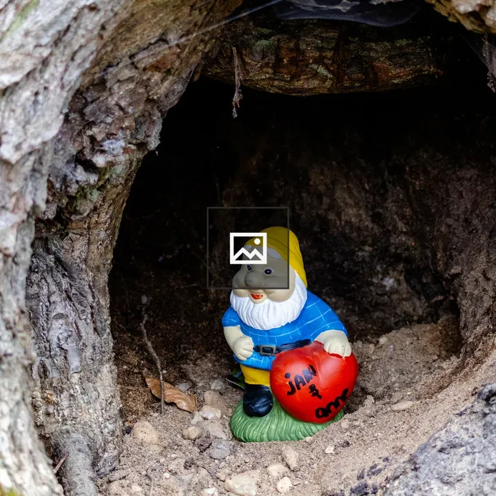 Gnome with Heart in Tree Hole