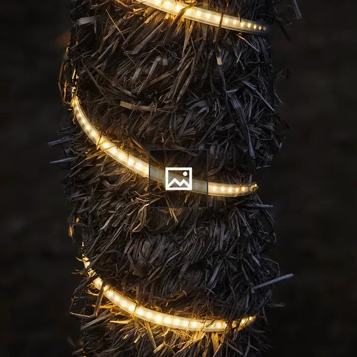 Decorative lights on a tree trunk