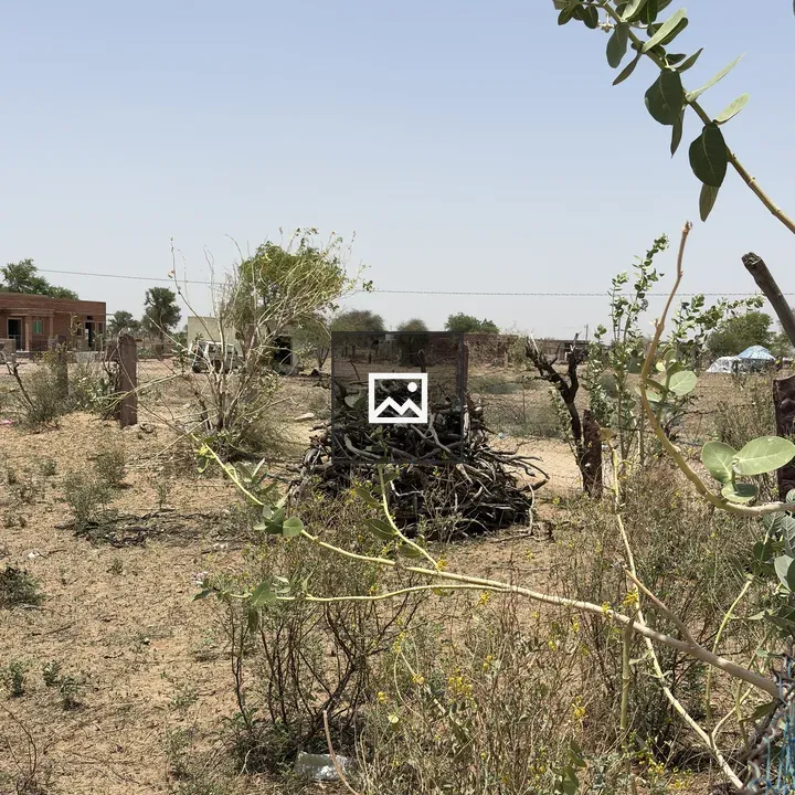 Dry landscape with sparse vegetation