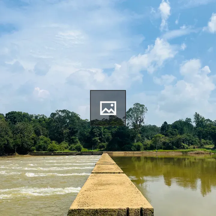 River landscape with trees