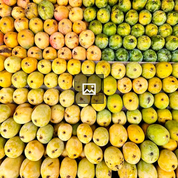 Mango display in rows