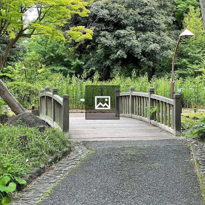 Bridge in Hibiya Park