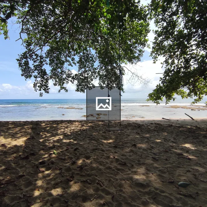 Beach swing under tree in Costa Rica