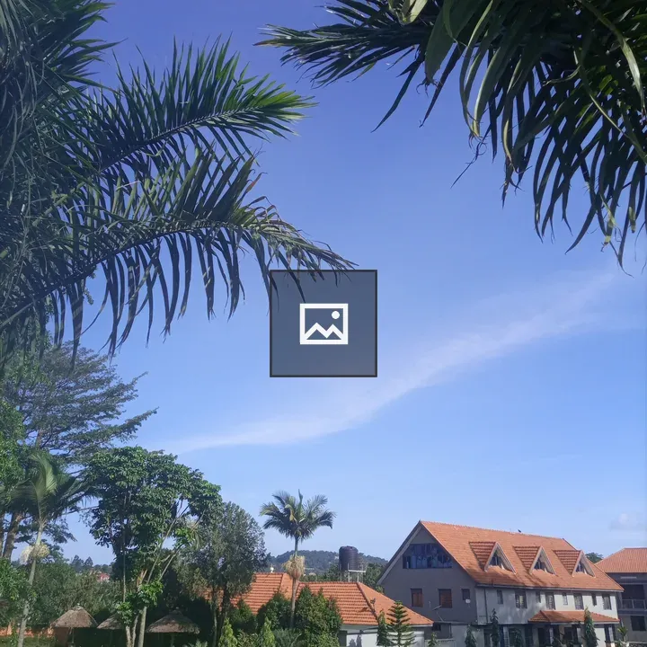 Lush landscape with palm trees