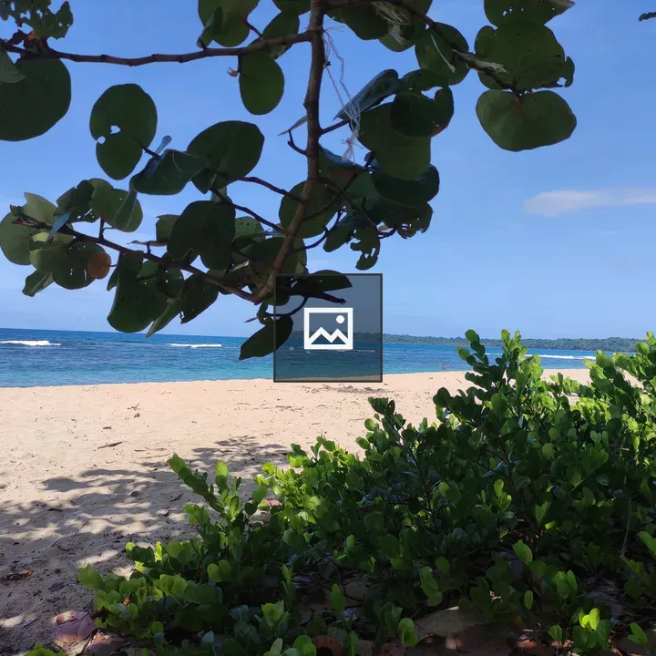 Sunny tropical beach