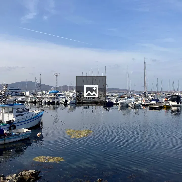 Marina with Docked Boats