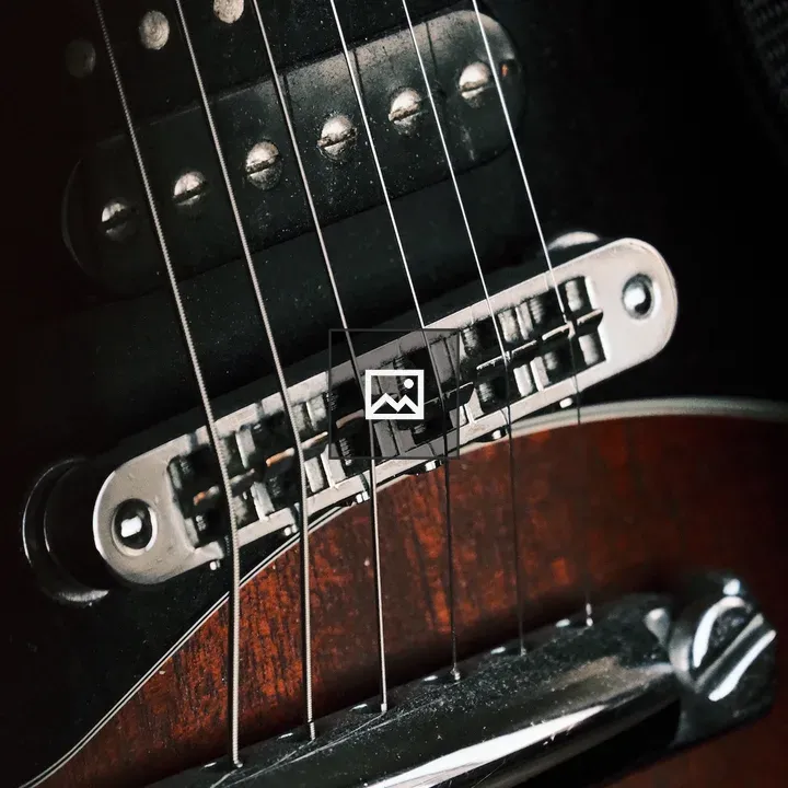 Electric guitar portrait