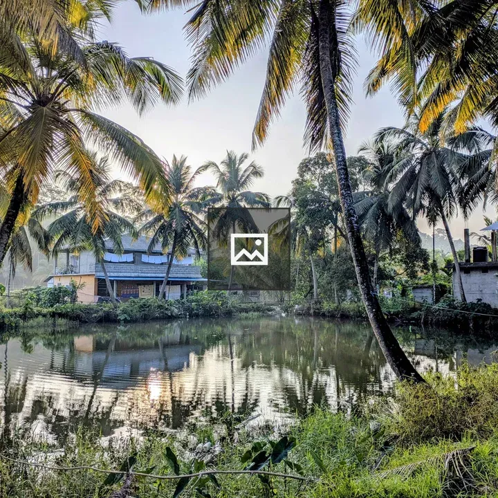 House Inside Coconuts and Pond