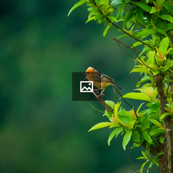 Bird on Green Branch