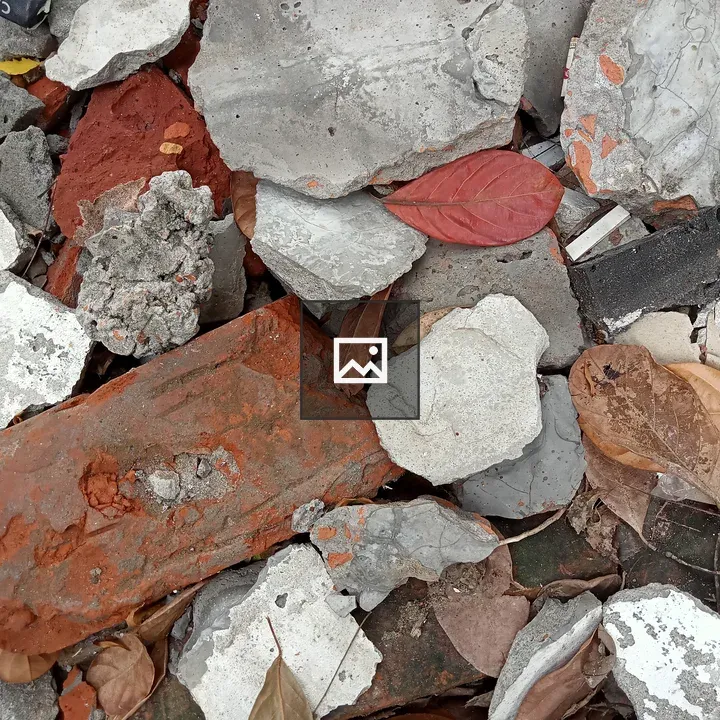 Close-up of rubble and leaves