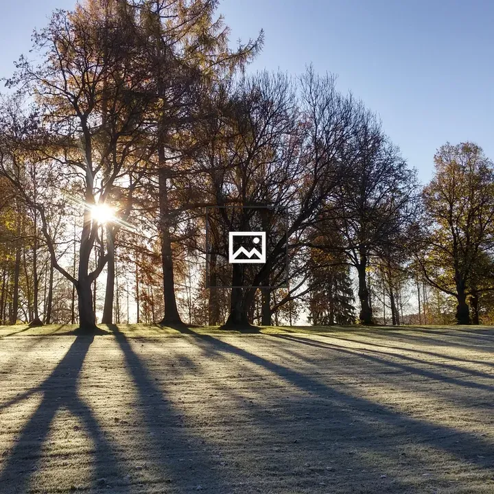 WorldPhotographyDay field trees