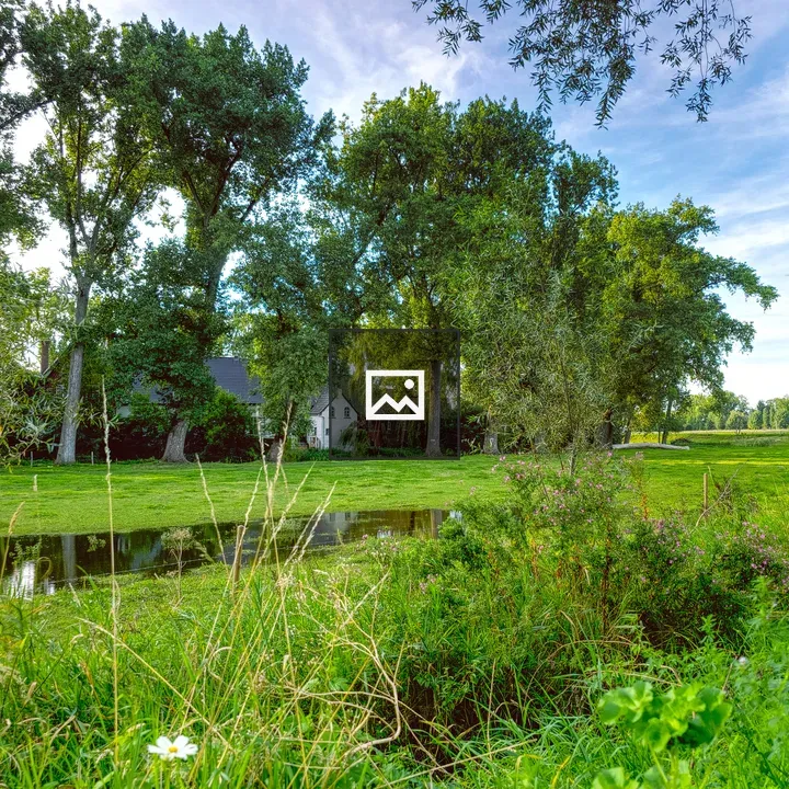 House with Trees and Water Pool