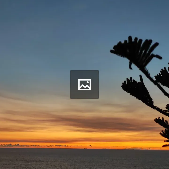 Sunset Tree on the Sea