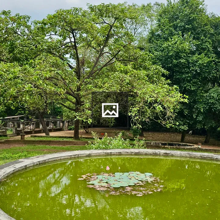 Round pond with lotus leaves