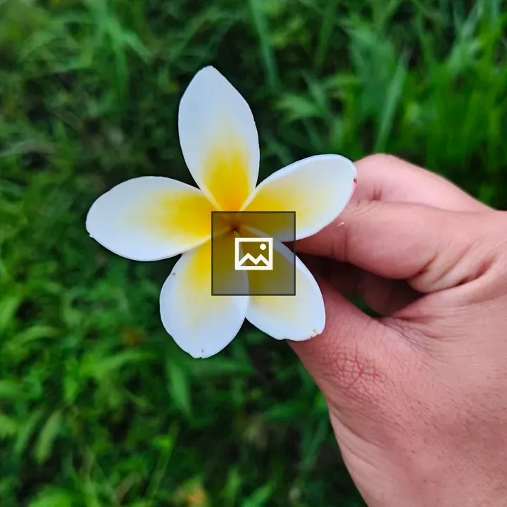 Plumeria Hand with Flower