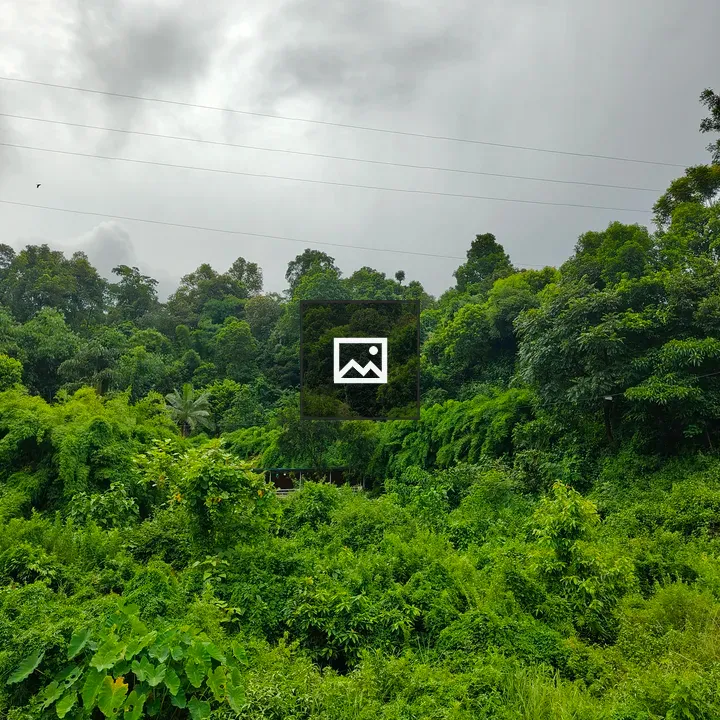 Jungle with a Small House