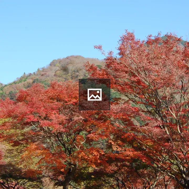 Autumn Leaves by Lake Tanzawa