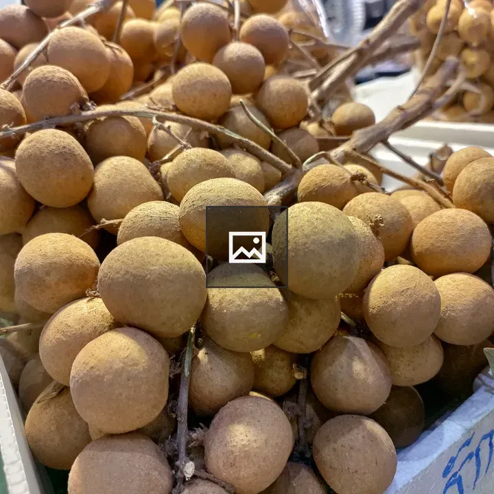Longan fruit in landscape shot