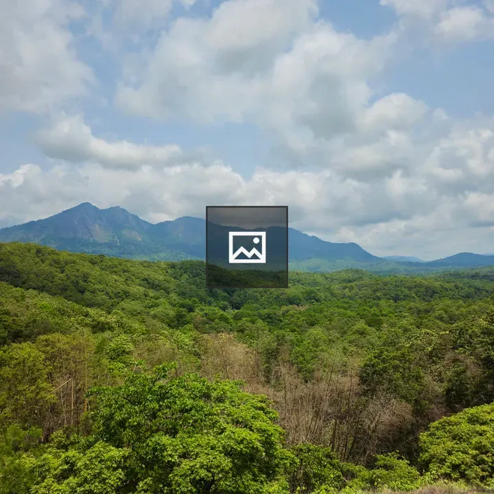 Green forests and mountains landscape