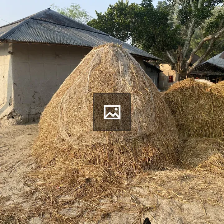 Haystack beside mud house