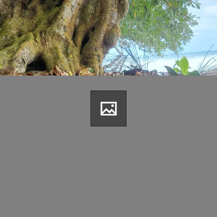 Leaves and Tree Roots at Ocean Edge
