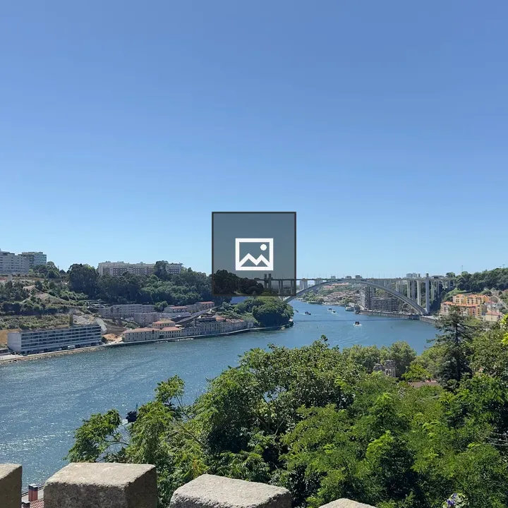 Douro River Panoramic View